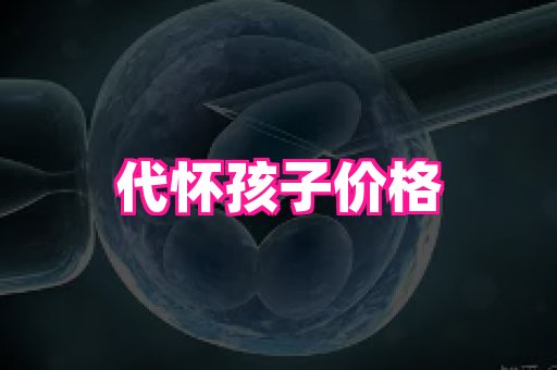 天津助孕网站 2